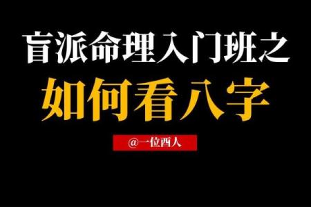 八字入门视频讲座