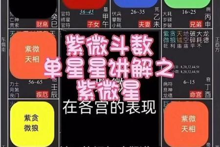 紫薇斗数音频教学