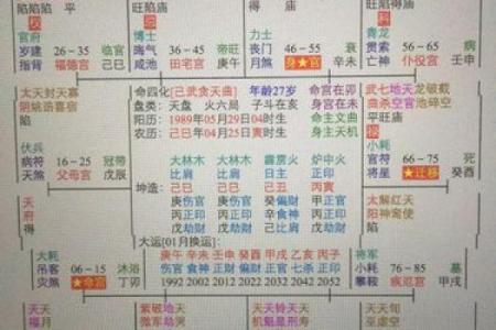 家境好的紫薇斗数