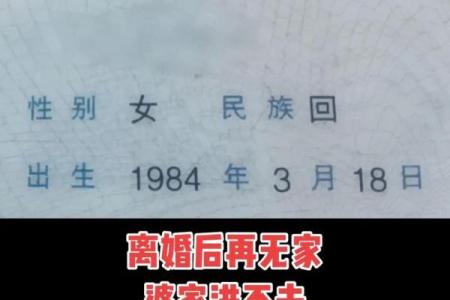 婚姻算命,1984年女鼠一生婚姻状况