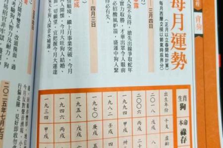 算命属狗岁女儿