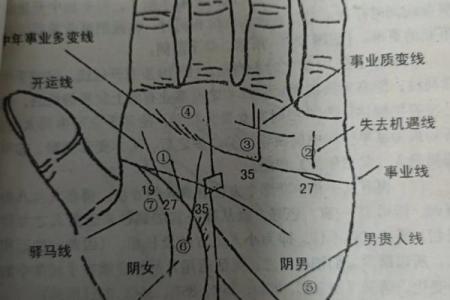 怎么看手相算命？只看男左女右对吗？