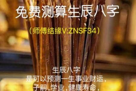 八字运势查询,八字终身运程详批免费