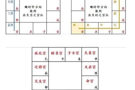 青龙紫薇斗数命宫