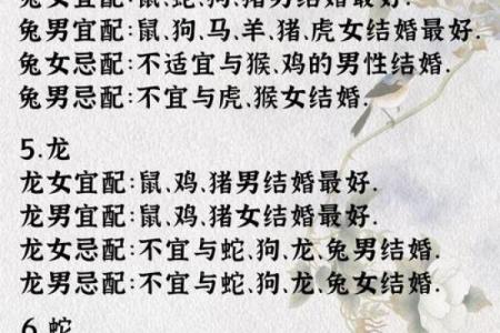 合八字算婚姻 属牛和属猪适合做夫妻吗