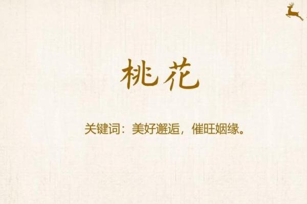 八字桃花免费