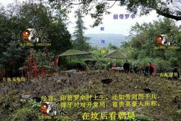 情缘风云？警惕摧毁婚恋的风水