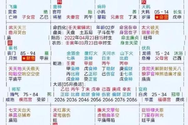 紫薇斗数在排盘