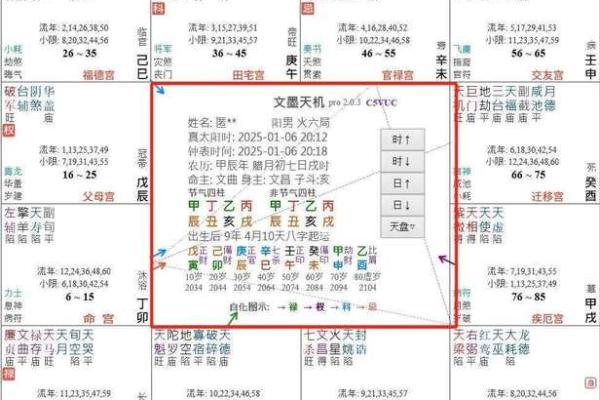 什么四语和紫薇斗数