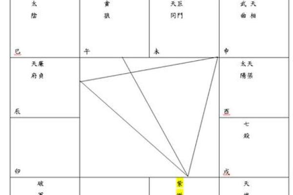 紫薇斗数天府星入十二宫