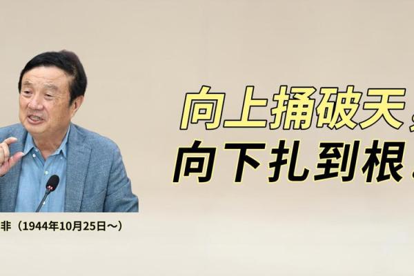 任正非八字