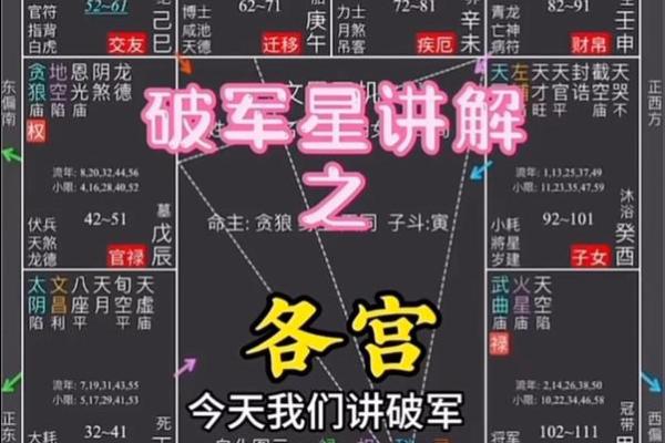 紫薇斗数教学初级