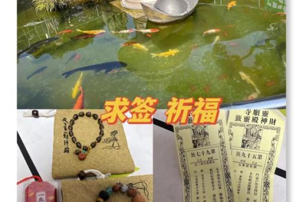 灵顺寺第95签解签什么意思