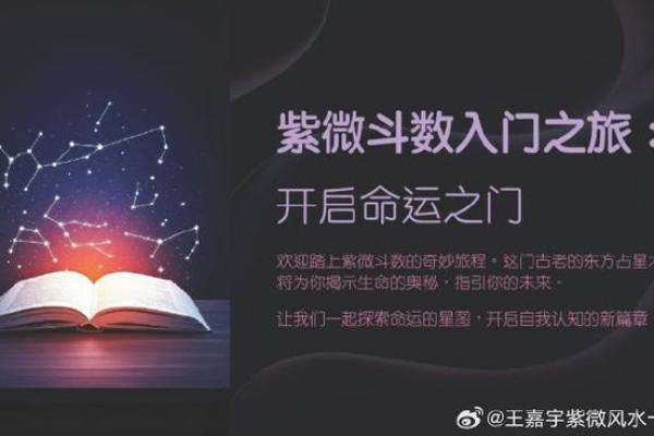 莫西老师紫薇斗数