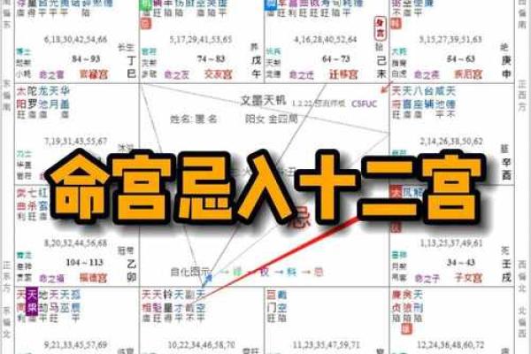 紫薇斗数龙池入命