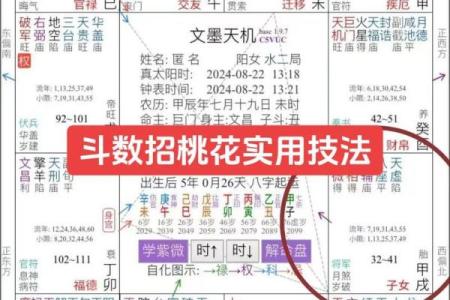 紫薇斗数看晚婚