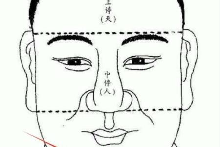 如何从下巴看相算命