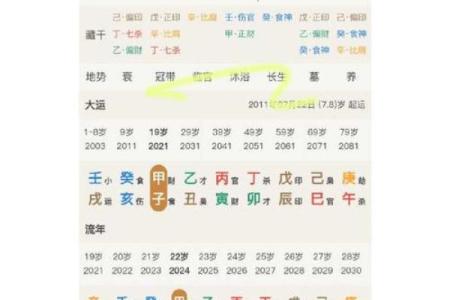 辛巳年生的最好八字命局  辛巳日出生月份看富贵