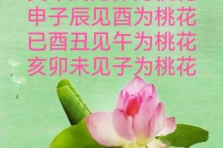 八字桃花免费