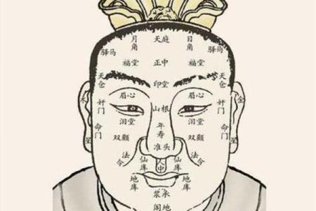 看头发面相知道运势 面相头发算命