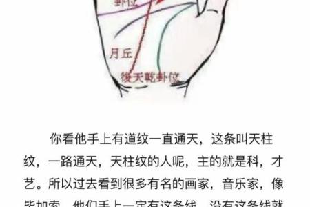 女手相算命图解