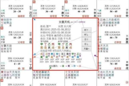 什么四语和紫薇斗数