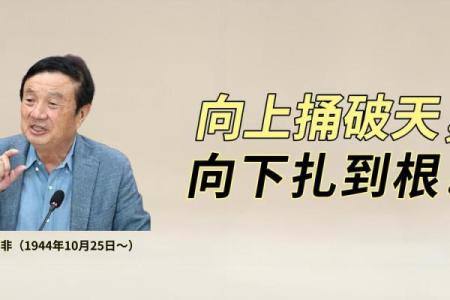 任正非八字