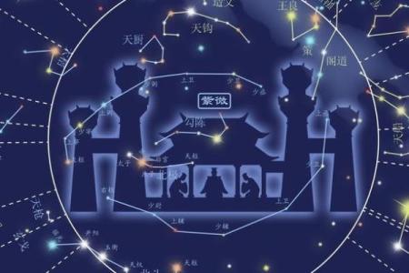 紫微斗数之诸星值限年运气推断：天相星之年