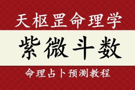 令东来紫薇斗数
