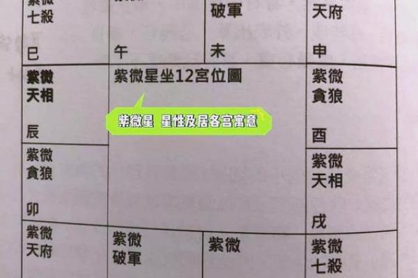 紫薇斗数命宫主星太阳