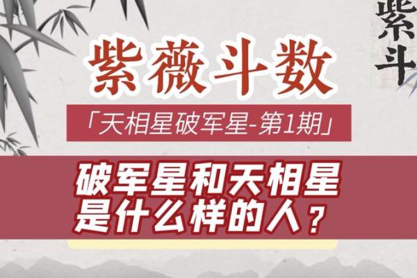 紫微斗数－天相星