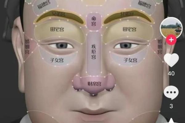 算命说的分财是什么
