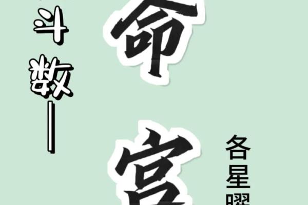 紫微斗数之各星曜所主行业： 太阳星
