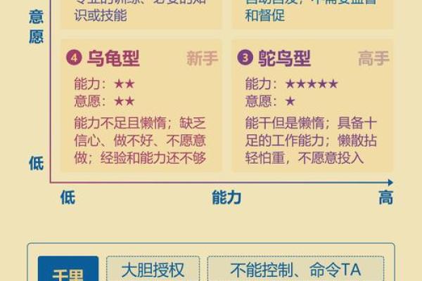 团队八字