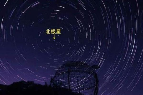 紫薇星北极星是什么龙