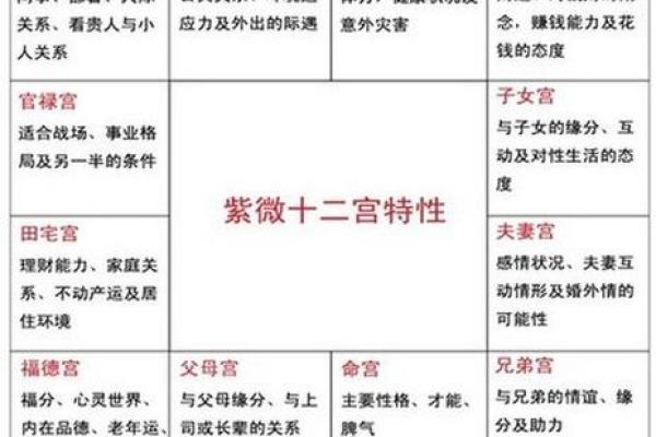 关于紫薇斗数软件安卓破解版的信息
