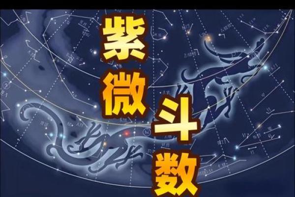 紫薇斗数之星