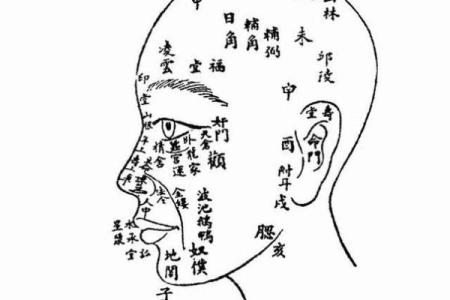 算命金口诀