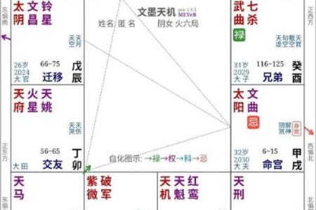紫薇斗数运疾