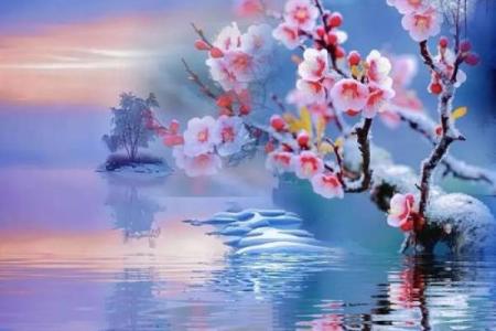 梅花风水_我秀了一副两米多的霜雪梅花图按风水是挂在西墙上好还是东墙上好