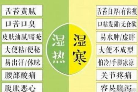 寒湿八字