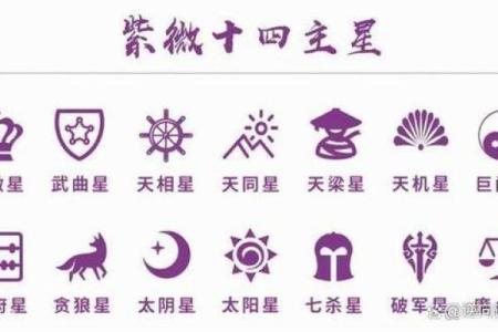紫薇斗数应用