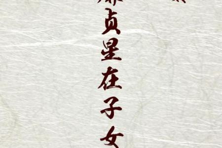 紫薇白娘子紫微斗数书