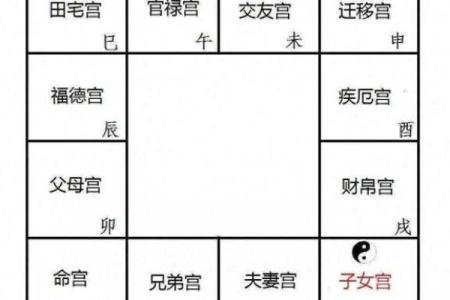 紫微斗数诸星落诸宫之，巨门星：阴土疾厄宫详解