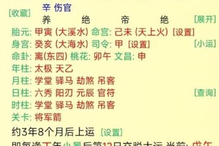 八字火命