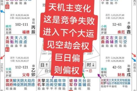 相同八字相同大运不同命运