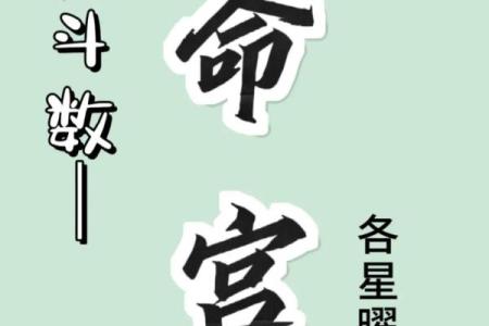 紫微斗数之各星曜所主行业： 太阳星