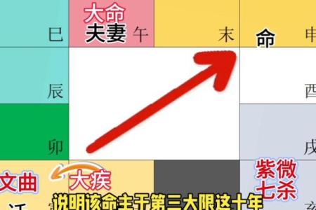 日月并命格,紫微斗数十大贵命命格