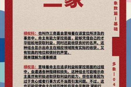 大猫紫薇斗数博客
