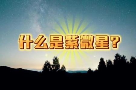 紫薇星北极星是什么龙